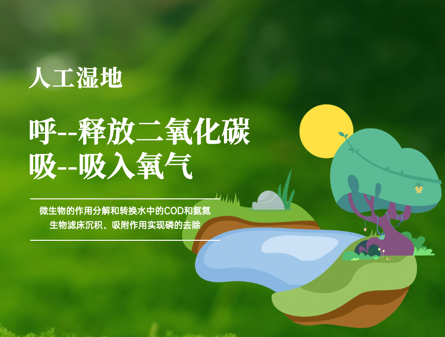 人工濕地